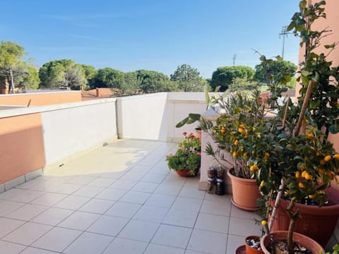 Garden, Balcony/Terrace
