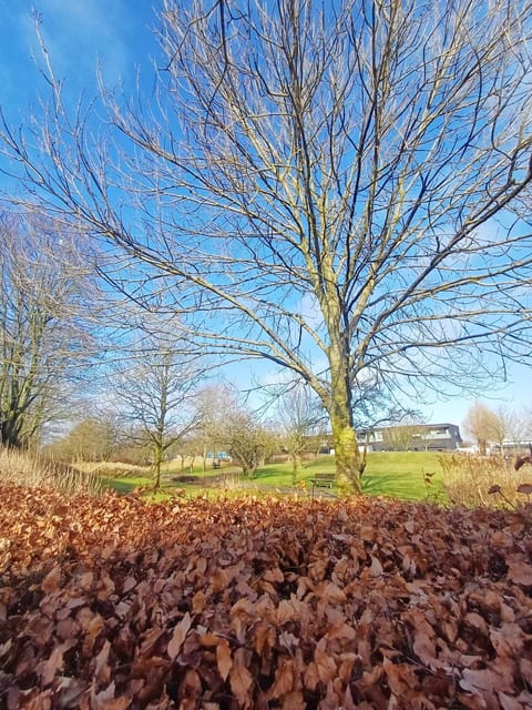 Central Apartment close to the Marina Apartment in Aalborg