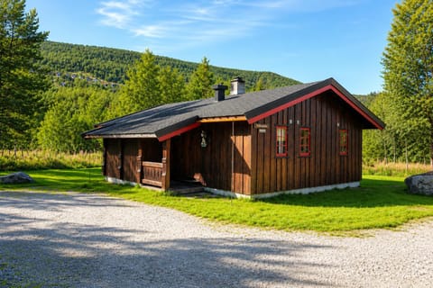 Property building, Natural landscape, Summer