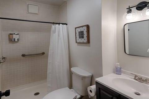 Shower, Toilet, Bathroom, towels