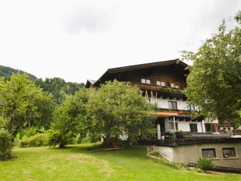 Property building, Summer