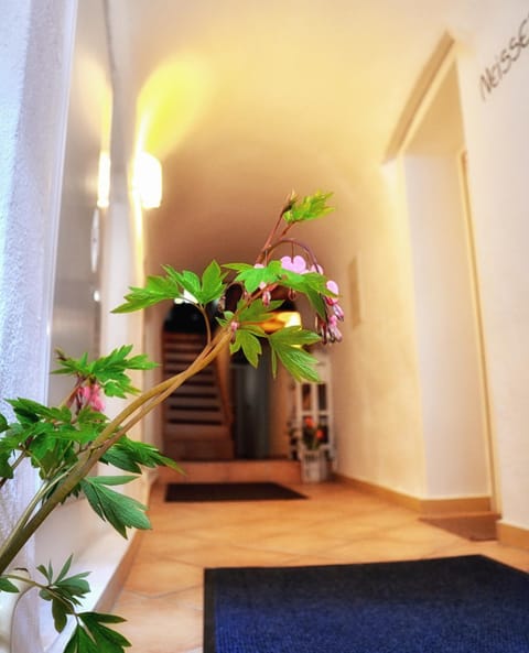 Kitchen or kitchenette, Other