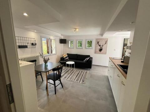 Le Rossignol Apartment in Canton of Geneva