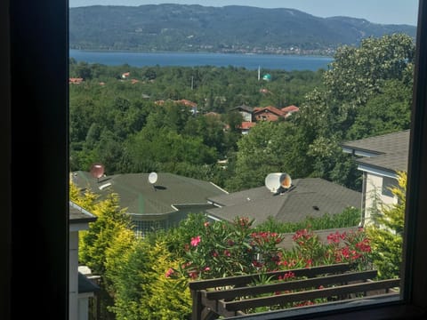 Spring, Garden, Lake view