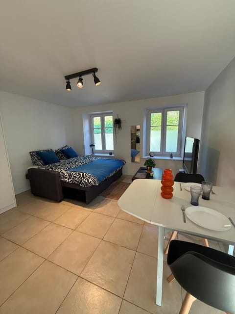 Studio du Lion - Proche vieille ville Apartment in Switzerland