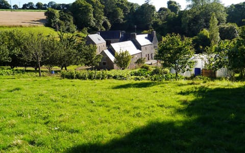 Natural landscape, Garden, Garden view