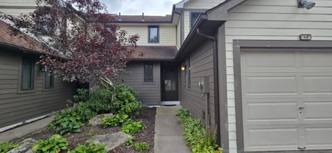 Cozy Condo- 3 bedroom lakefront condo with fireplace Villa in McHenry