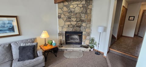 Cozy Condo- 3 bedroom lakefront condo with fireplace Villa in McHenry