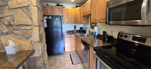 Cozy Condo- 3 bedroom lakefront condo with fireplace Villa in McHenry