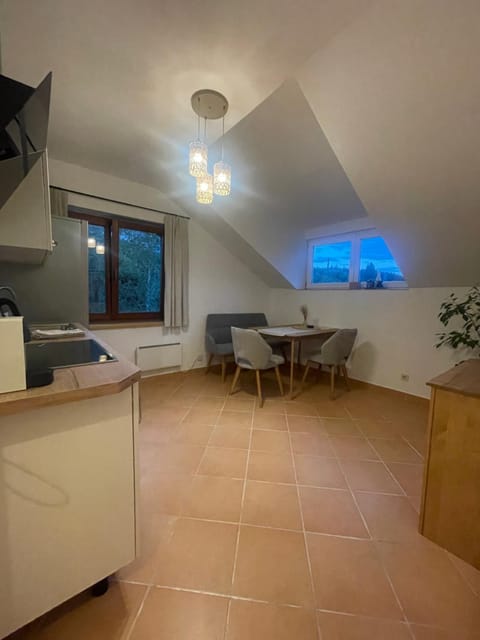 Kitchen or kitchenette, Dining area