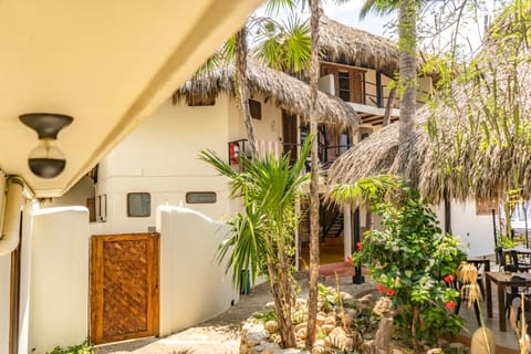 Property building, Garden, Garden view