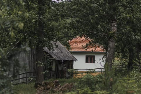 Property building, Spring, Day, Natural landscape, Garden, Garden view