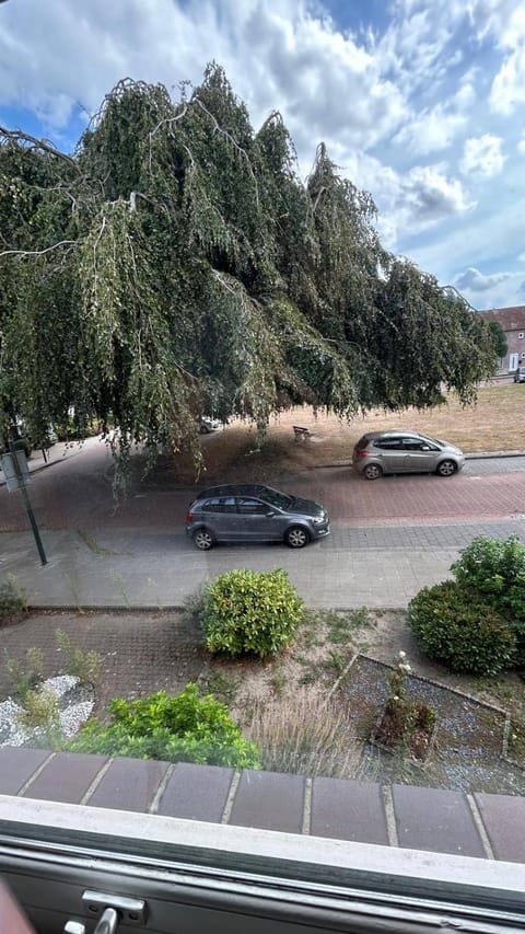 Street view, Quiet street view, Parking