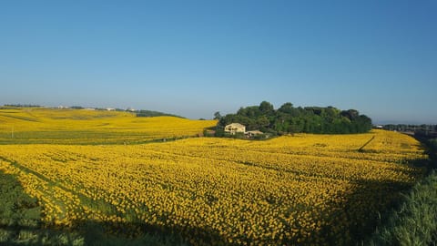 B&B Isa Bed and Breakfast in Porto Recanati