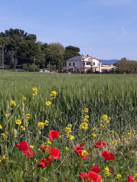 B&B Isa Bed and Breakfast in Porto Recanati