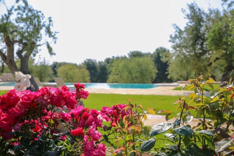Masseria Parco della Grava Farm Stay in Province of Taranto
