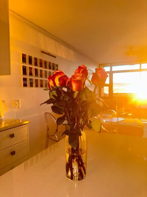 Stylish Cape Town Retreat Near V&A Waterfront Apartment in Cape Town