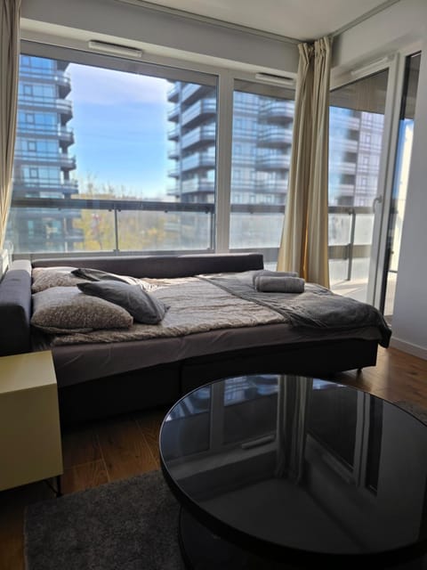 Bed, Living room, Photo of the whole room, Seating area, Bedroom