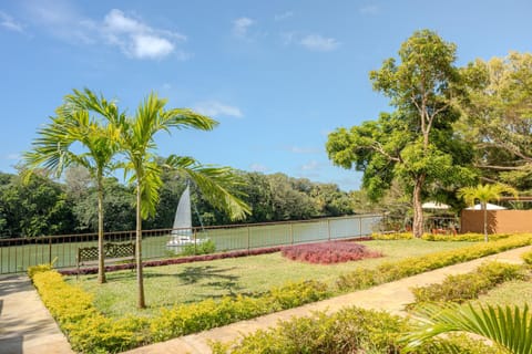 Day, Natural landscape, Garden, Garden, Garden view, River view