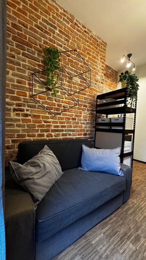 Living room, Photo of the whole room, Seating area