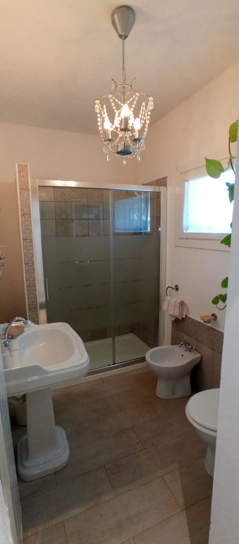 Shower, Toilet, Bathroom, bidet