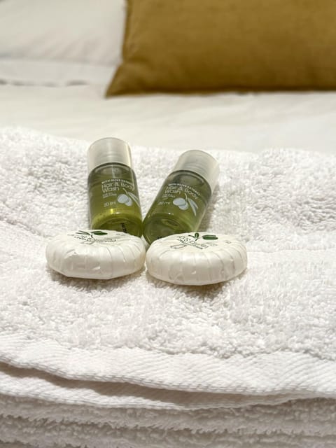 Charming Studio Heart of historic Paris Le Marais Apartment in Paris