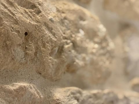 Charming Studio Heart of historic Paris Le Marais Apartment in Paris