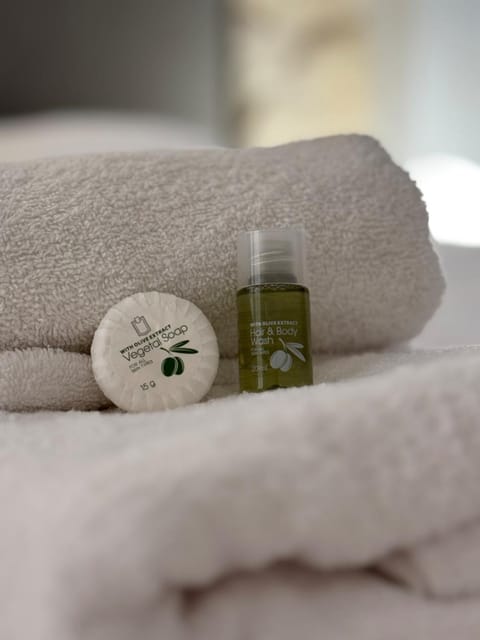 Charming Studio Heart of historic Paris Le Marais Apartment in Paris