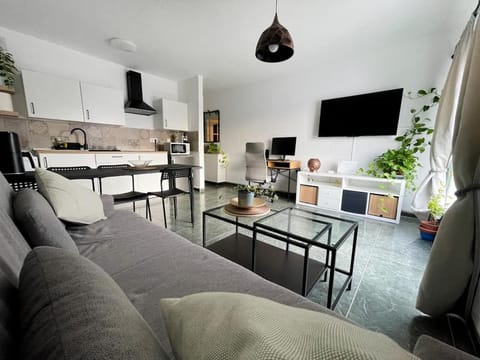 Communal lounge/ TV room, TV and multimedia, Kitchen or kitchenette, Living room, Seating area, Dining area