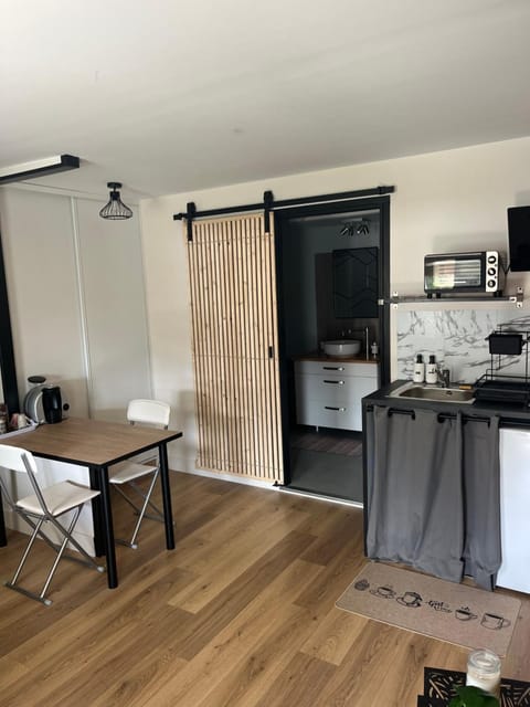 Kitchen or kitchenette, Dining area, oven, stove