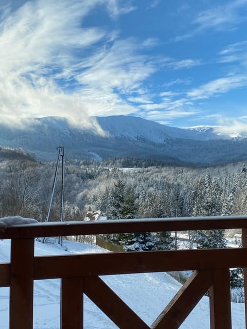 Natural landscape, Winter, Mountain view