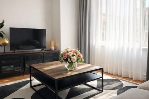 Day, TV and multimedia, Living room, Photo of the whole room, Decorative detail, Seating area