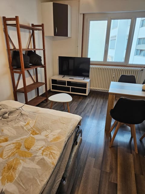Studio Léman Apartment in Annemasse