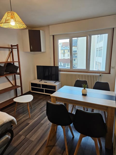 Studio Léman Apartment in Annemasse