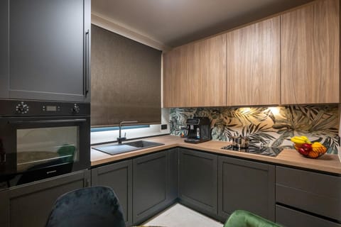 Kitchen or kitchenette, oven, stove