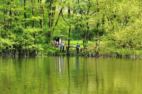 Activities, Lake view