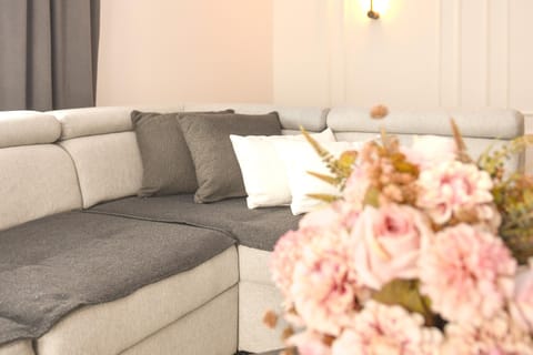 SleepAndGo Apartment in Serbia