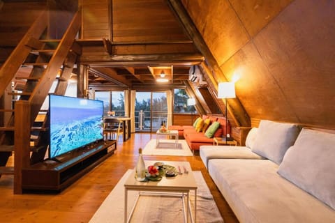 TV and multimedia, Living room