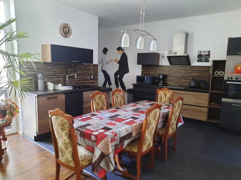 People, Kitchen or kitchenette, group of guests, dishwasher, stove