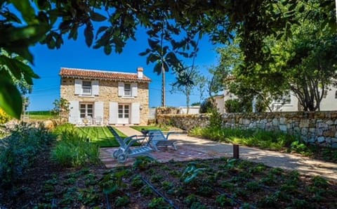 Garden, Solarium