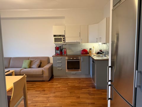 Kitchen or kitchenette, Living room, Seating area, Dining area, oven, stove