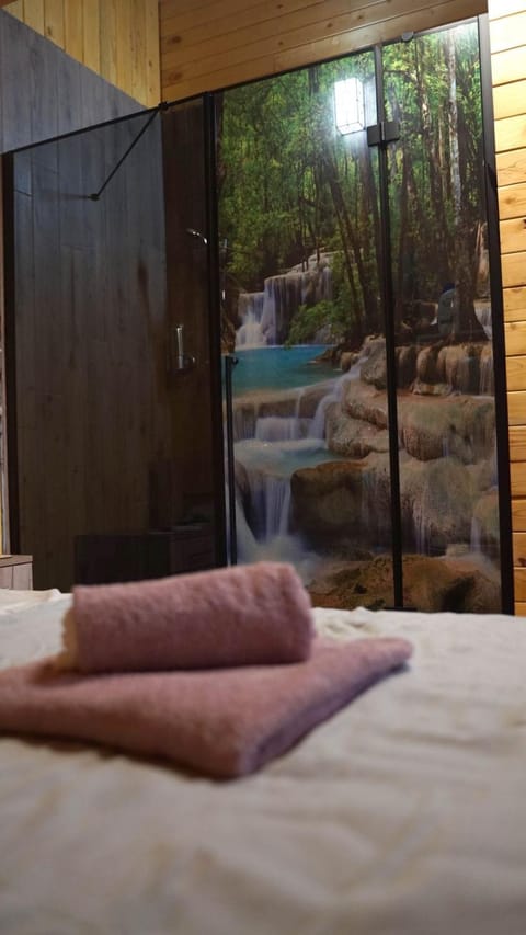 Photo of the whole room, towels