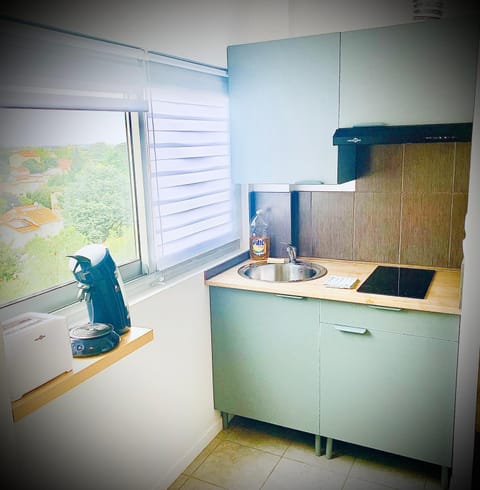 15G Bron centre hôpital Desgenette Vinatier Apartment in Lyon