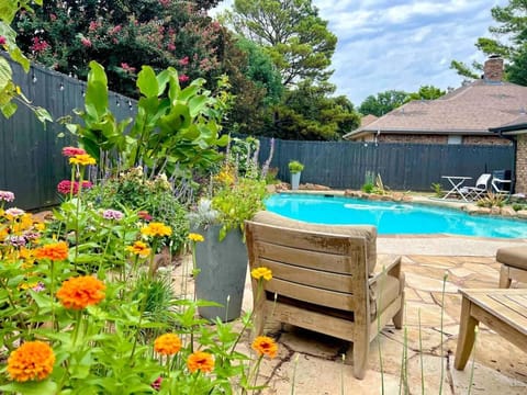 Day, Garden, Garden view, Pool view, Swimming pool, sunbed