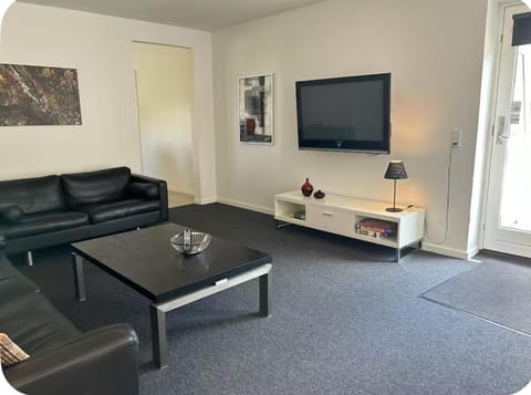 Ammitsbøl Apartment B Apartment in Egtved