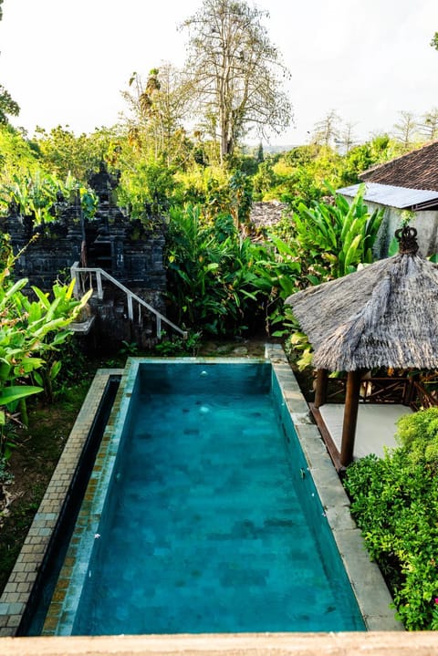 Natural landscape, Place of worship, Garden, Garden, Garden view, Pool view, Swimming pool, Swimming pool