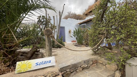 Garden, Garden, Garden view, Garden view