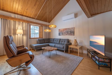 TV and multimedia, Living room, Seating area, Evening entertainment