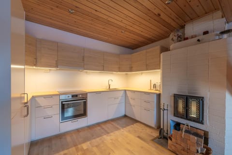 Kitchen or kitchenette, dishwasher, fireplace, stove