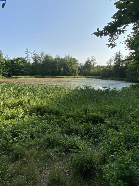 Natural landscape, Hiking, Lake view